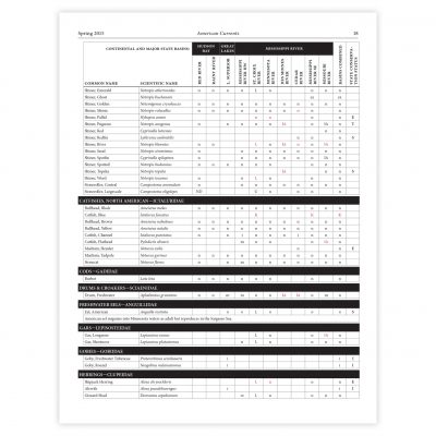 Example of a table